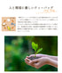 【メール便ギフト】ゴクゴクすっきり 和紅茶ティーバッグ 2g×50p